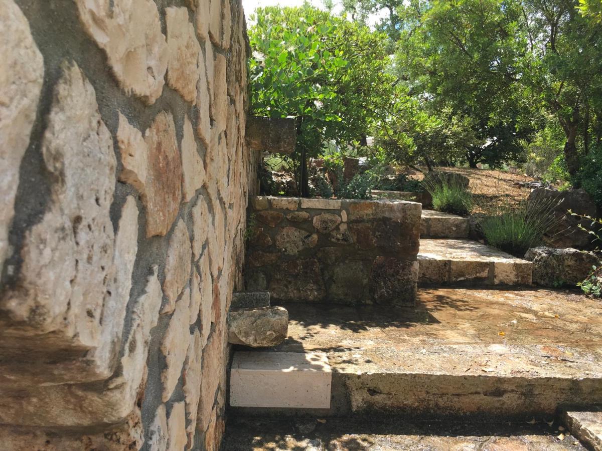 Casa Zucchetta Bed and Breakfast Locorotondo Εξωτερικό φωτογραφία